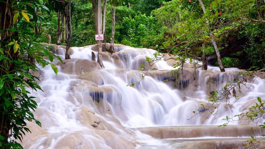 110157-Dunns-River-Falls