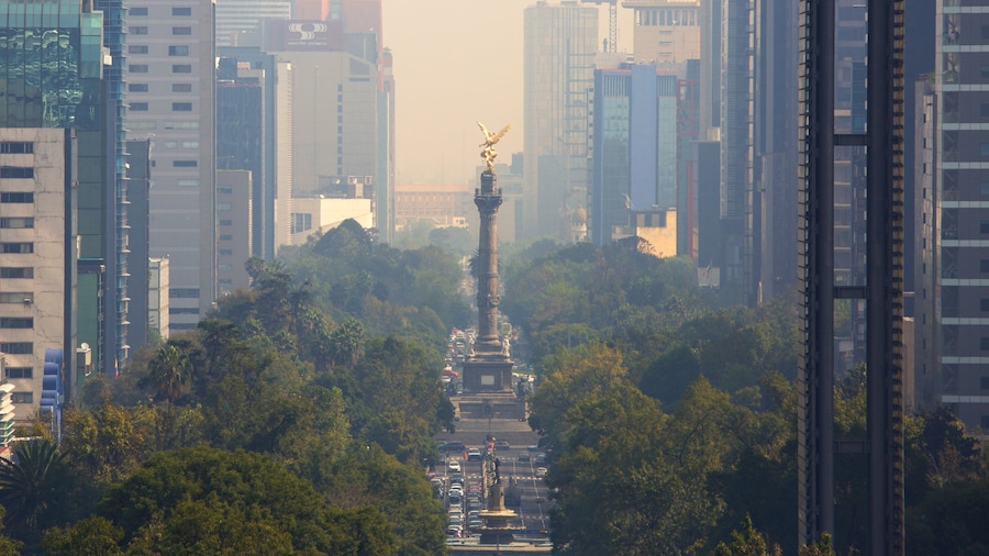 168169-Reforma